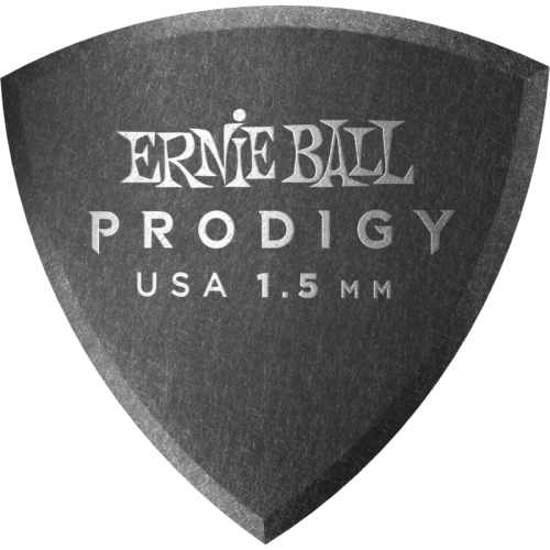 ERNIE BALL P09331