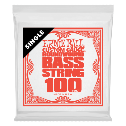 ERNIE BALL P01697